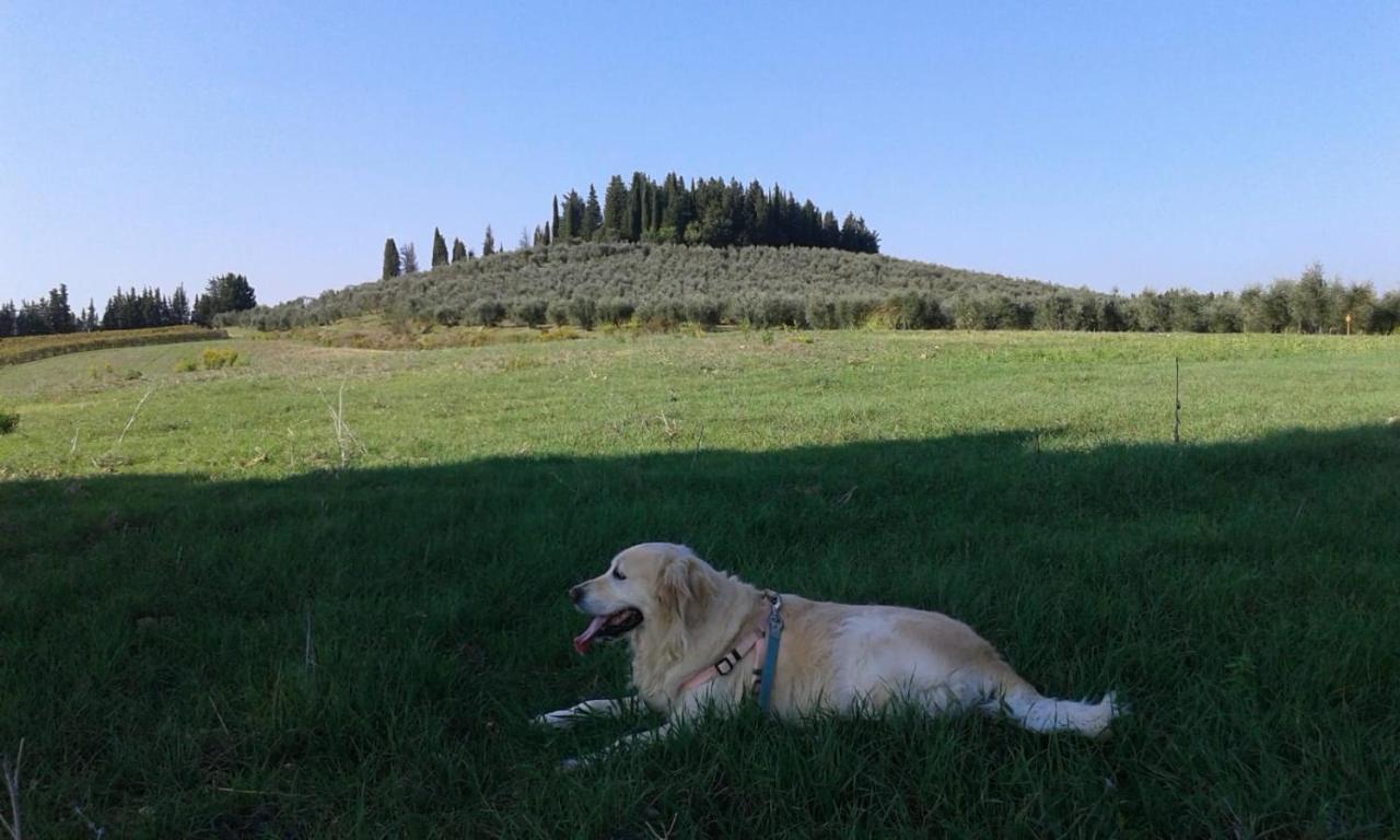Dolce Cuore Luxe Apartment Chianti Florence Male Romantyczne Mieszkanie San Donato in Poggio Luaran gambar